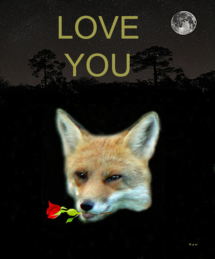 Hollywood Mixed Media - Eftalou Fox Max with rose LOVE YOU by Eric Kempson