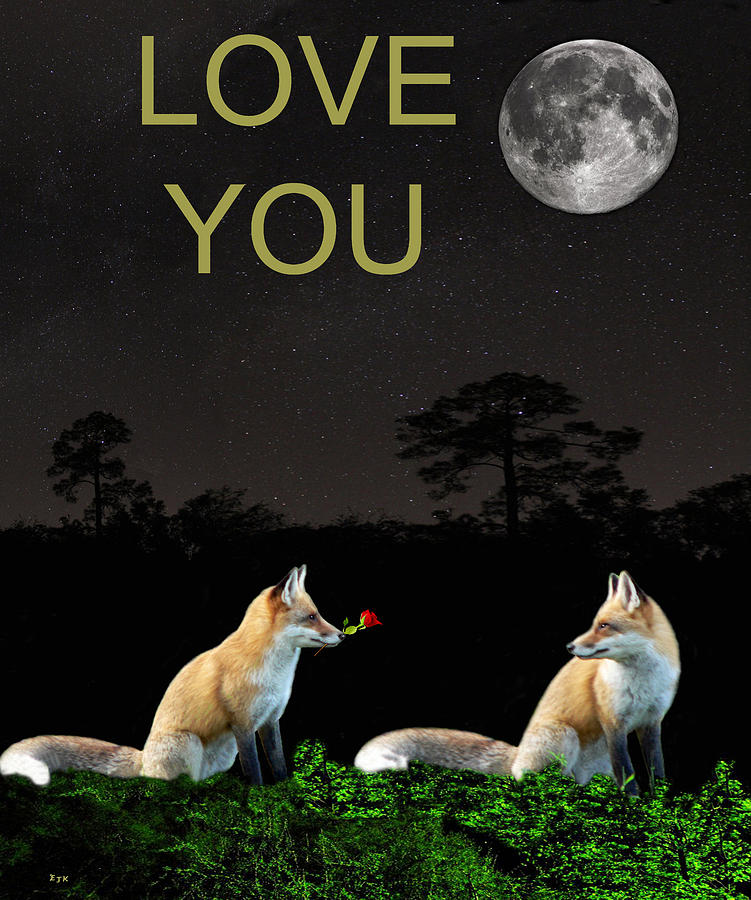 Hollywood Mixed Media - Eftalou Foxes LOVE YOU by Eric Kempson