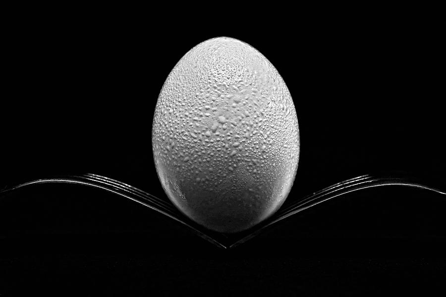 Pin by Eija Suneli on Art Egg | Creative photography techniques ...