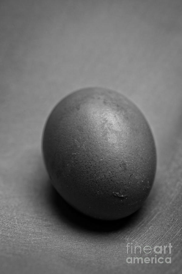 Egg Photograph - Egg Black and White by Edward Fielding