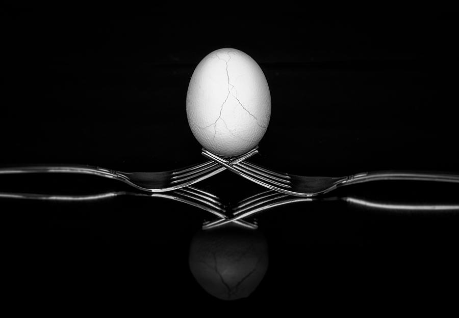 Egg Photograph by Michael Demagall