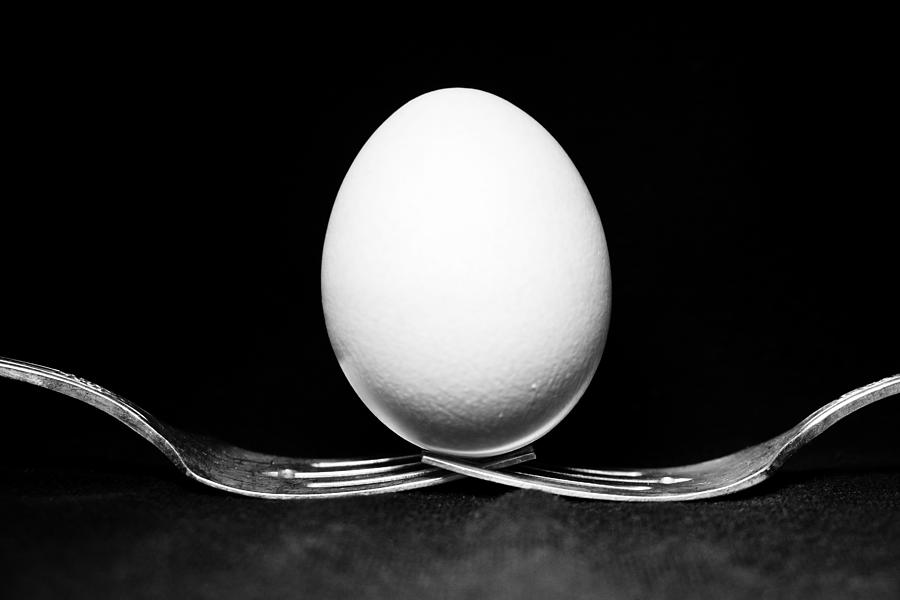 Egg Still Life Photograph by Marisa Geraghty Photography