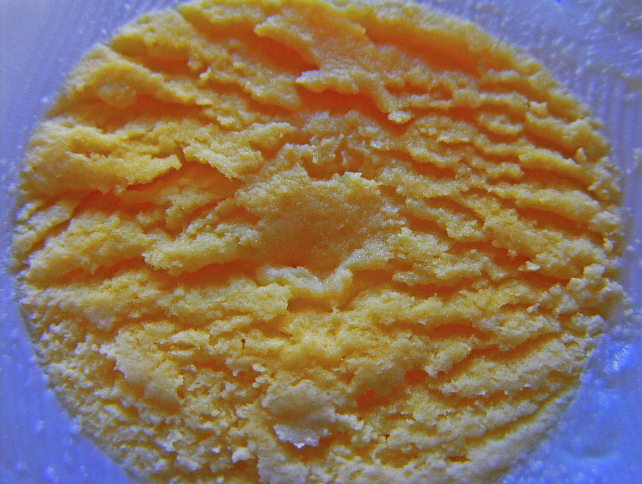 Egg Photograph - Egg Yolk by Wilma Stout