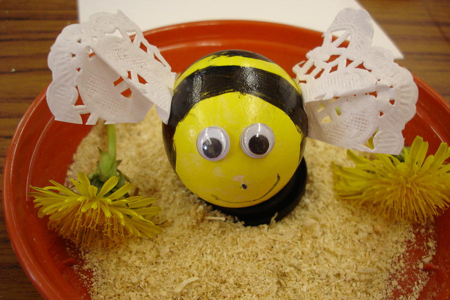 Eggbee Photograph by Susan Baker