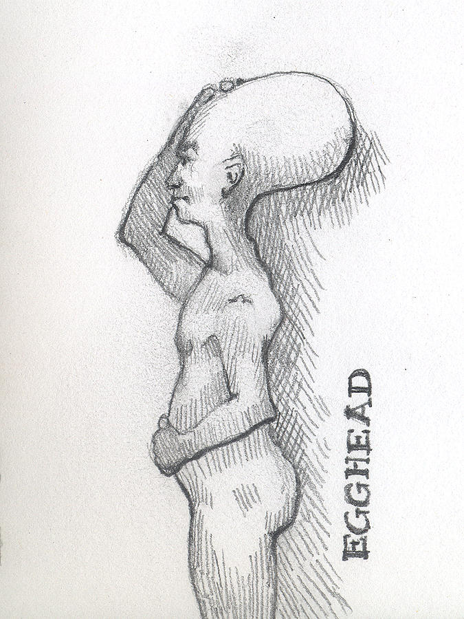 Egghead Drawing by Robert Bissett