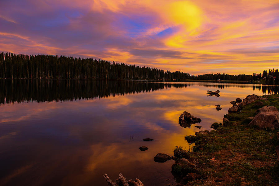 Eggleston Lake on the Grand Mesa Photograph by John Willey