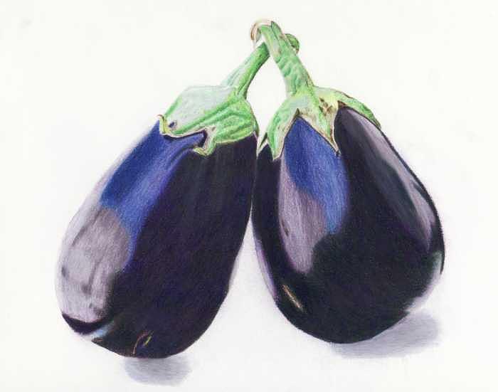 Unleash Your Creativity with Brinjal Drawing