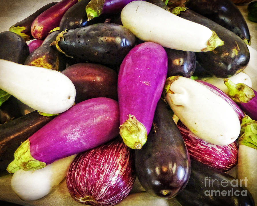 Vegetable Photograph - Eggplant Medley by Dee Flouton