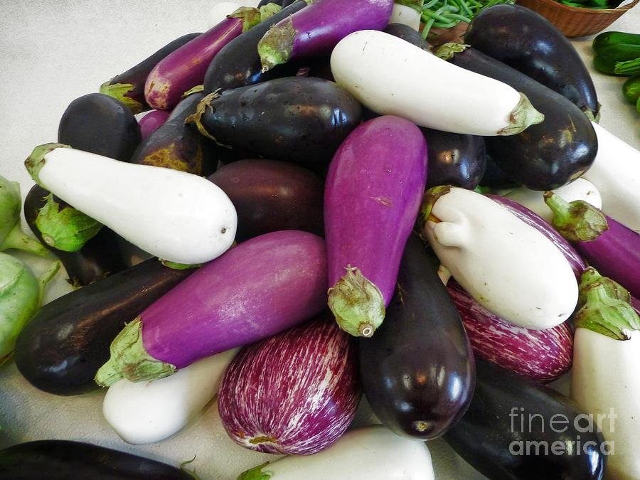 Eggplant Varieties Photograph by Dee Flouton