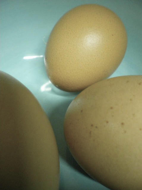 Eggs 4 Photograph by Julia  Chamberlain