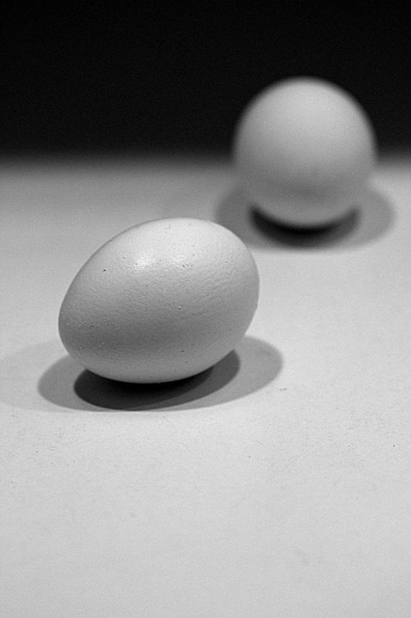 Eggs - Black And White Photograph by Joseph Skompski