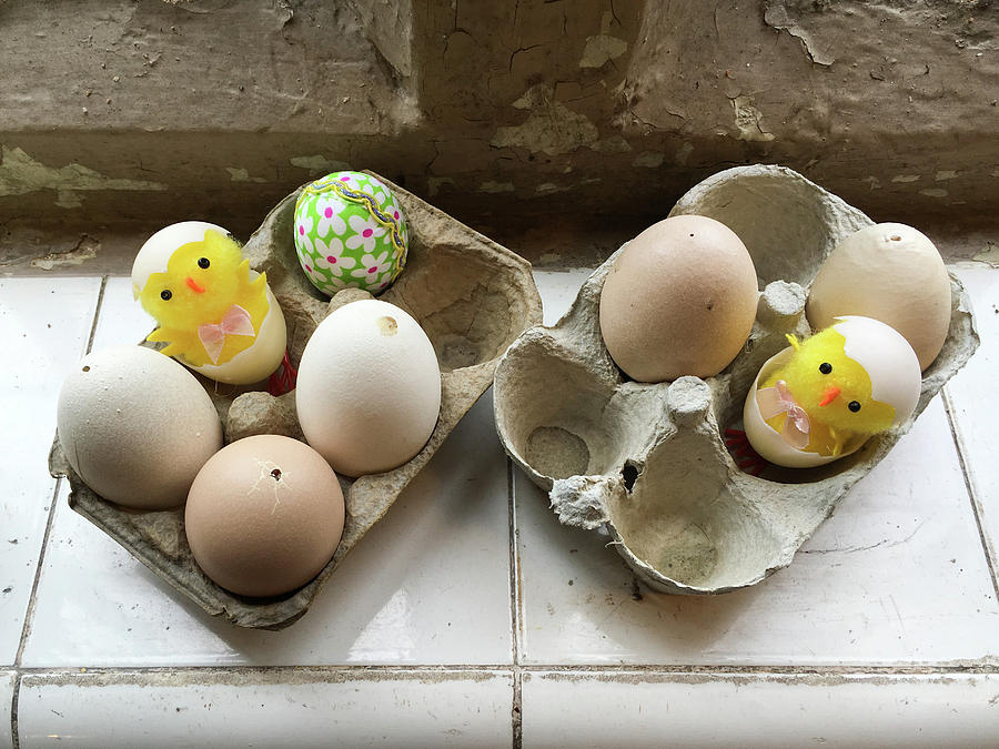 Eggs decorated for Easter Photograph by Tom Gowanlock