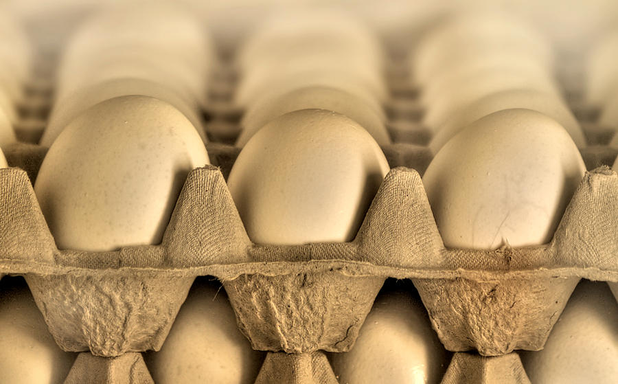 Egg Photograph - Eggs by Evelina Kremsdorf