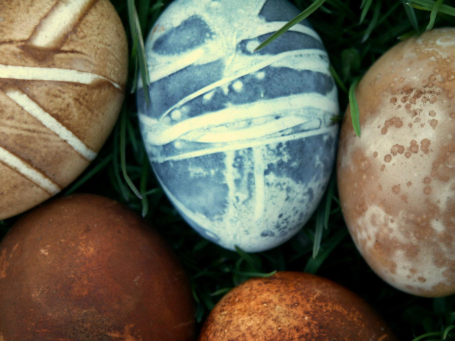 Eggs for Ostara Series 1 No 1 Photograph by Rahdne Zola | Fine Art America