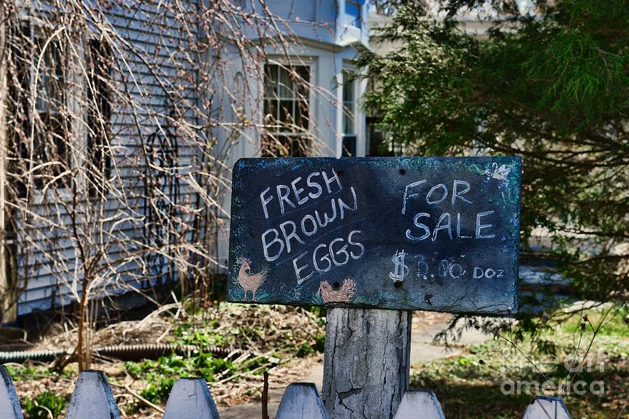 Eggs for Sale Country Charm Photograph by Paul Ward