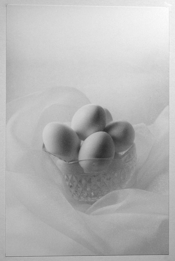 Egg Photograph - Eggs High Key by Candie Witherspoon