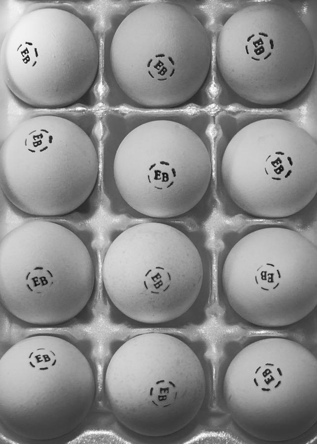 Eggs Photograph by Hyuntae Kim