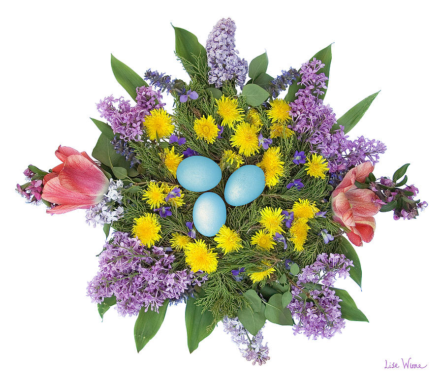 Eggs in Dandelions, Lilacs, Violets and Tulips Photograph by Lise Winne