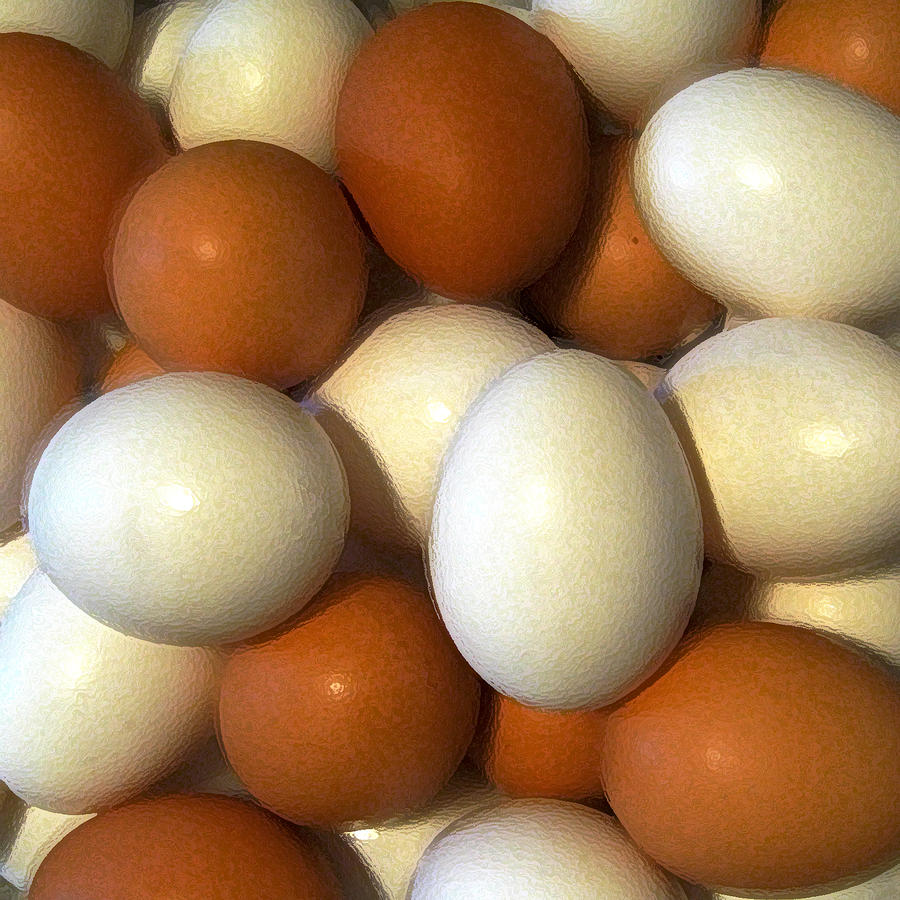 Eggs Photograph by John Vincent Palozzi