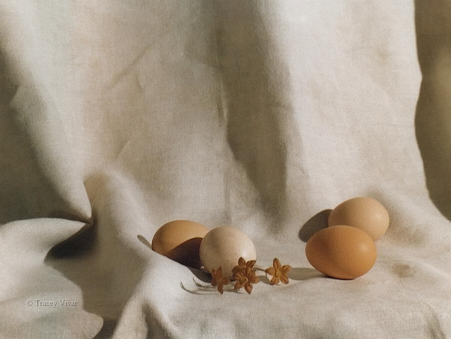 Eggs on Linen, Still Life Photograph by Tracey Vivar