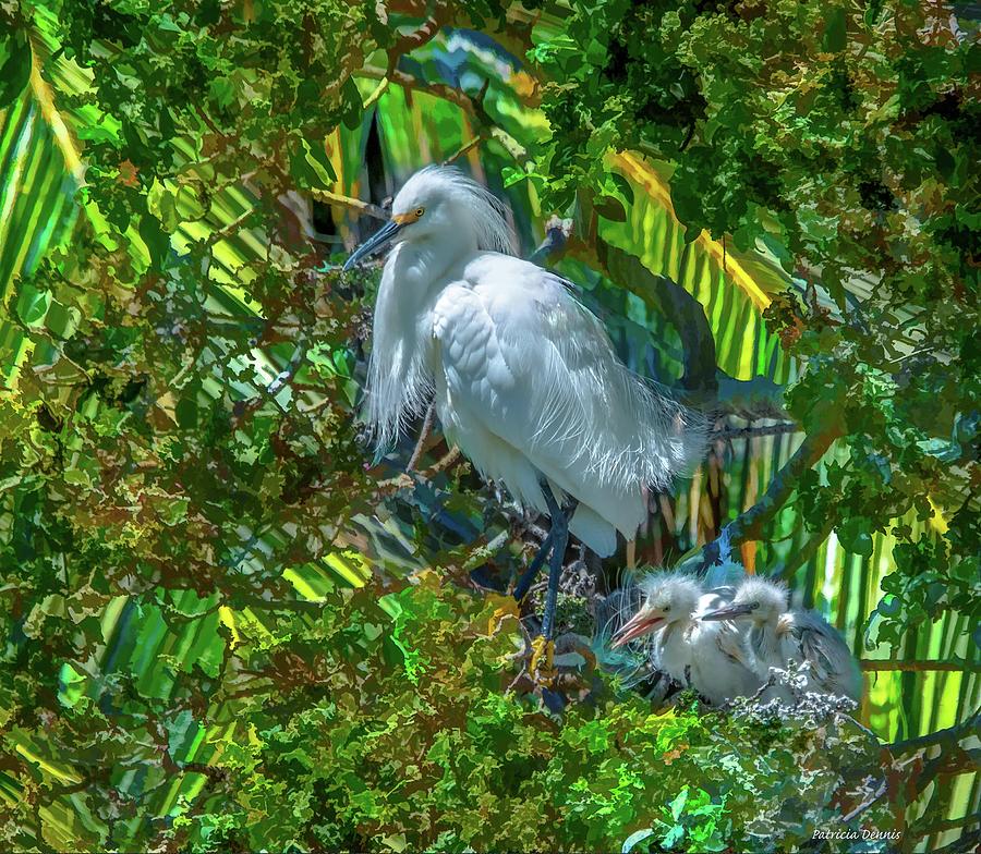 Egret and chicks Photograph by Patricia Dennis