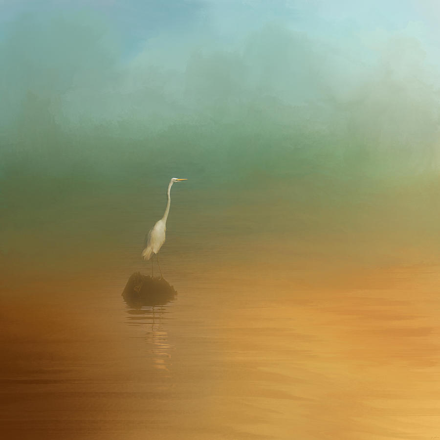Egret at Sea Photograph by Jai Johnson