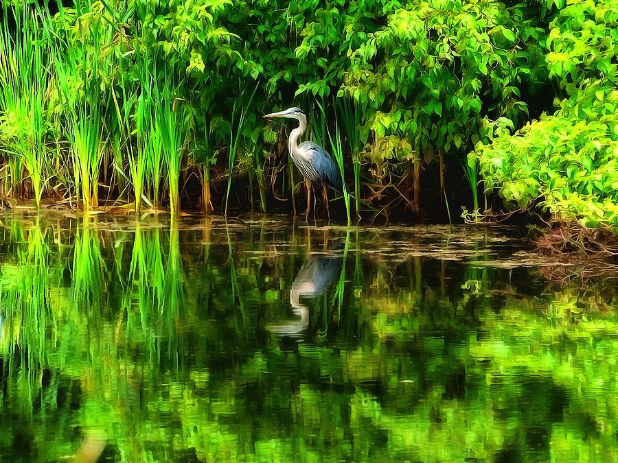 Egret at the pond Digital Art by Lilia D