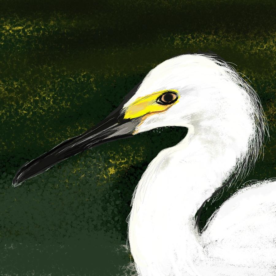 Egret Painting - Egret by Beth Klock