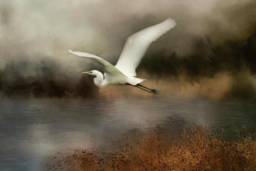Egret Flight Digital Art by TnBackroadsPhotos