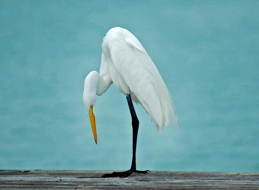 Egret Foot inspection Painting by Michael Thomas