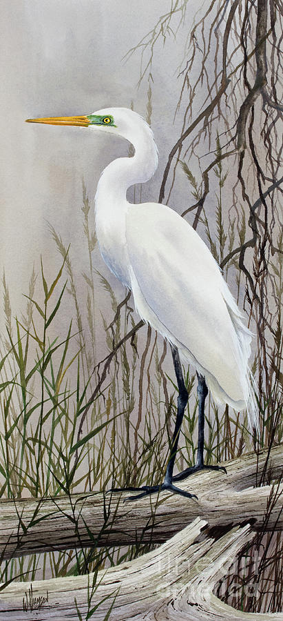 Egrets Harmony Painting by James Williamson