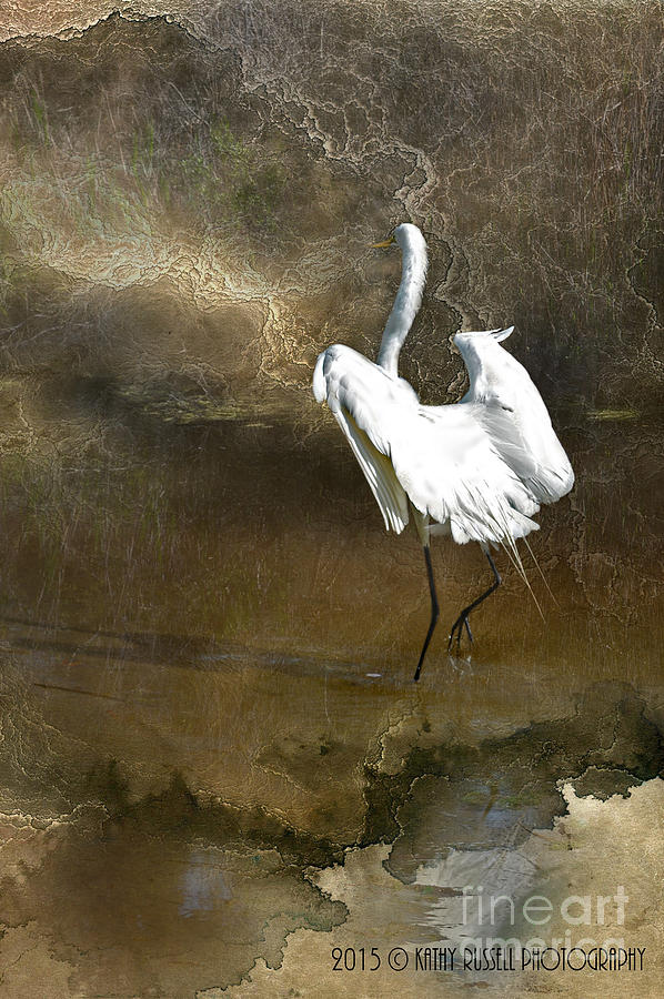 Egret in Brown Photograph by Kathy Russell