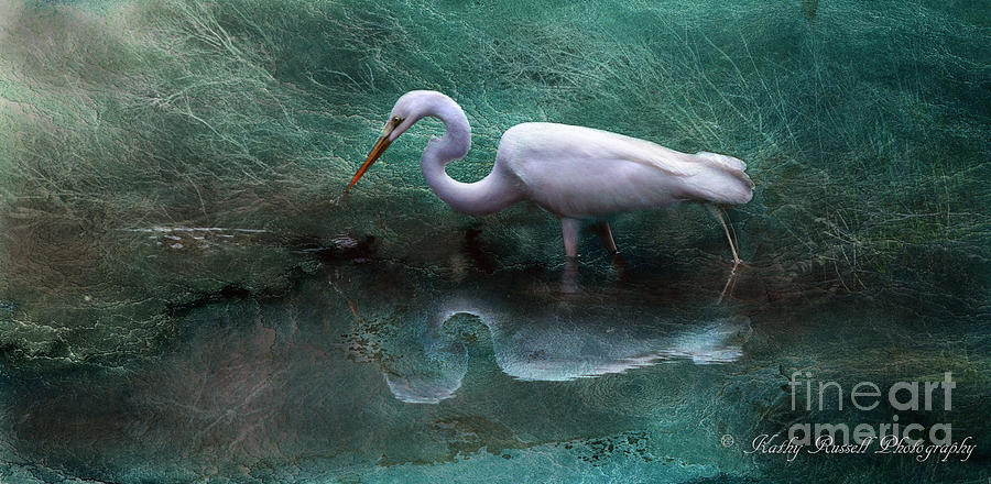 Egret in Metallic Photograph by Kathy Russell