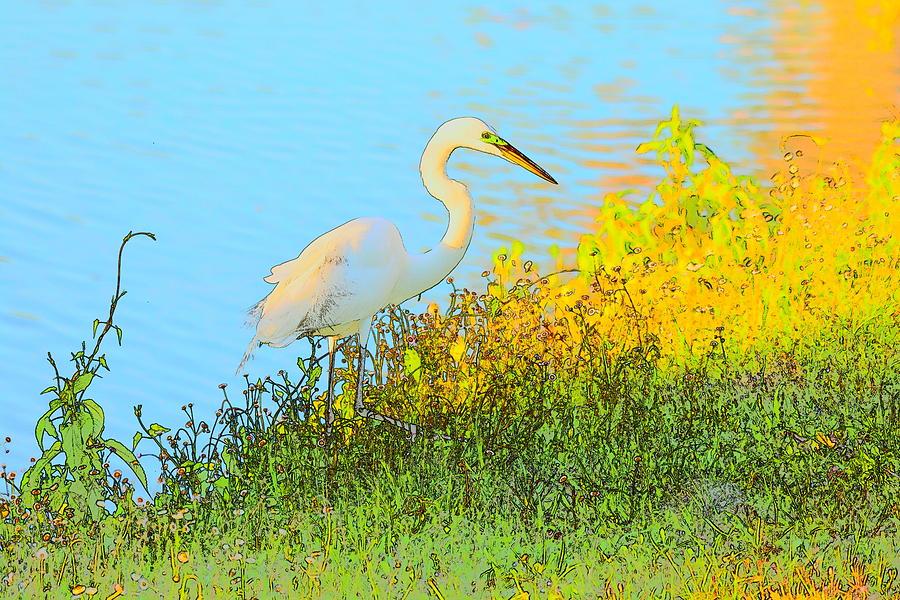Egret Photograph - Egret in the Lake Shallows by Patricia Twardzik