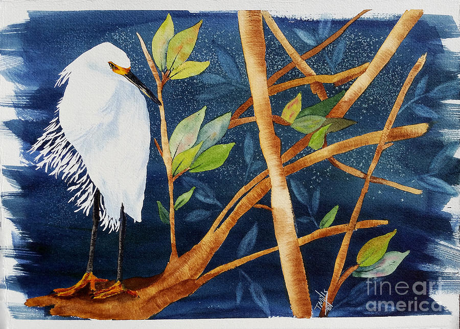 Egret in the Mangroves  Painting by Terri Mills