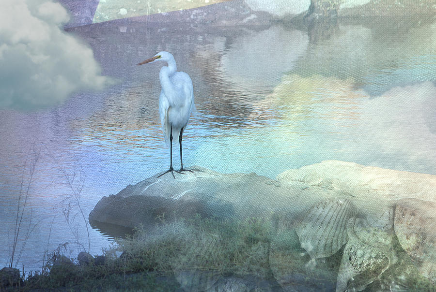 Bird Digital Art - Egret Lookout by Annie Omens