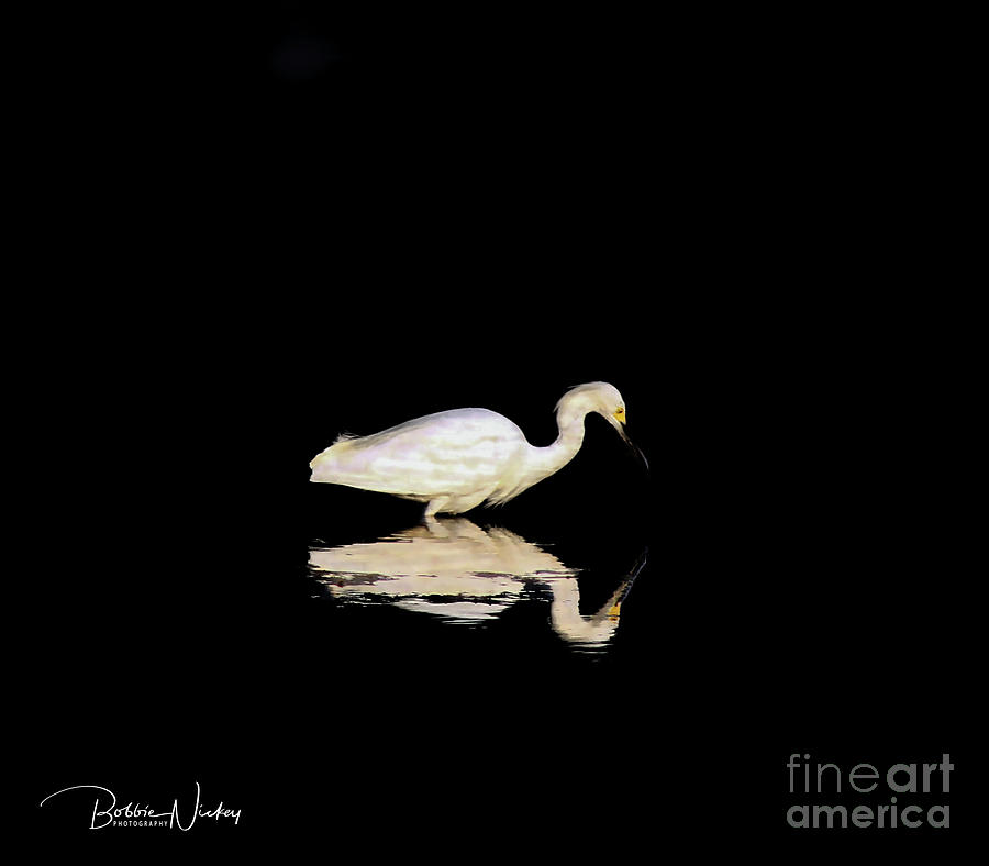 Bird Photograph - Egret Reflection by Bobbie Nickey