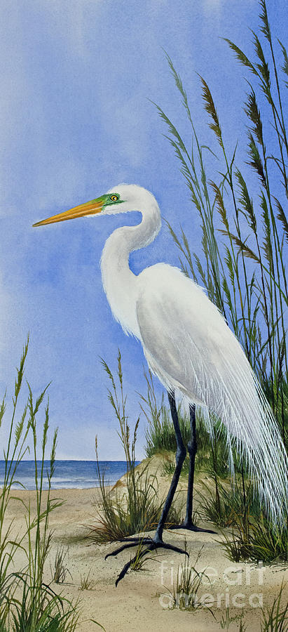 Egrets Shore Painting by James Williamson
