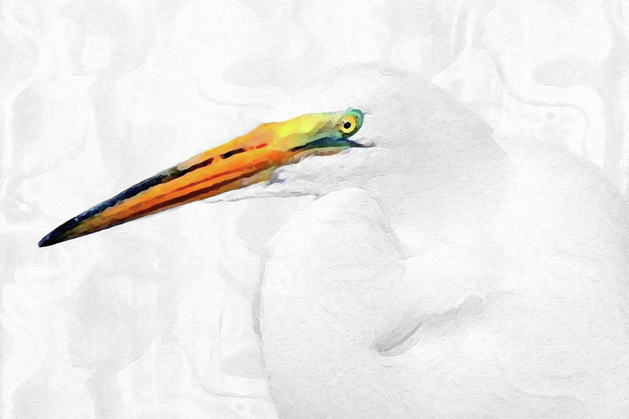 Egret Thoughts 2 Digital Art by DiDesigns Graphics