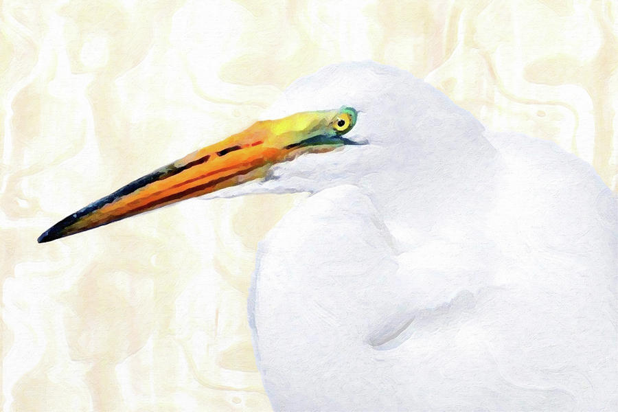 Egret Thoughts Painting by DiDesigns Graphics