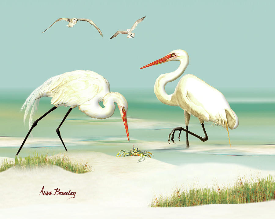 Egrets crabbing Painting by Anne Beverley-Stamps