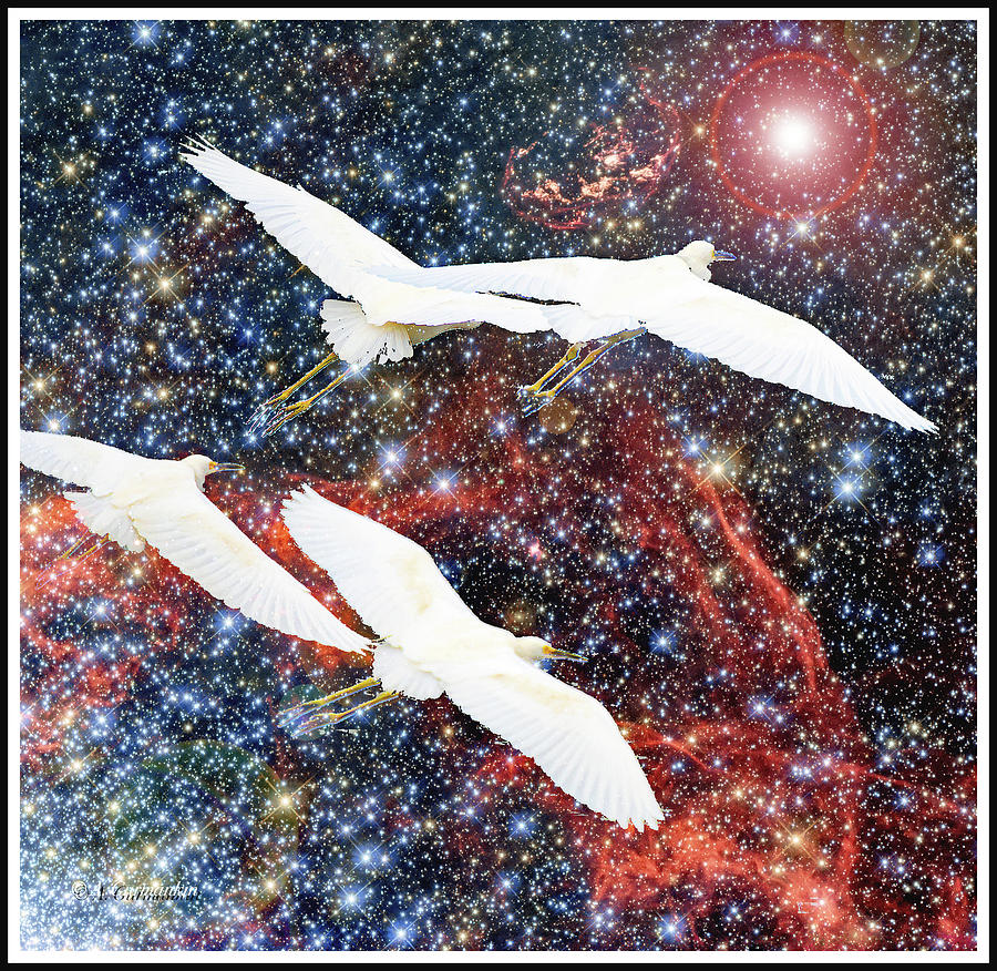 Egrets Fly in Supernova Remnant Sky Digital Art by A Macarthur Gurmankin