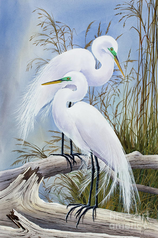 Egrets Grace Painting by James Williamson