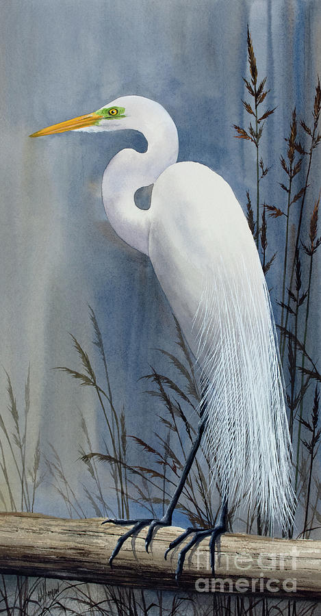 Egrets Wonder Painting by James Williamson