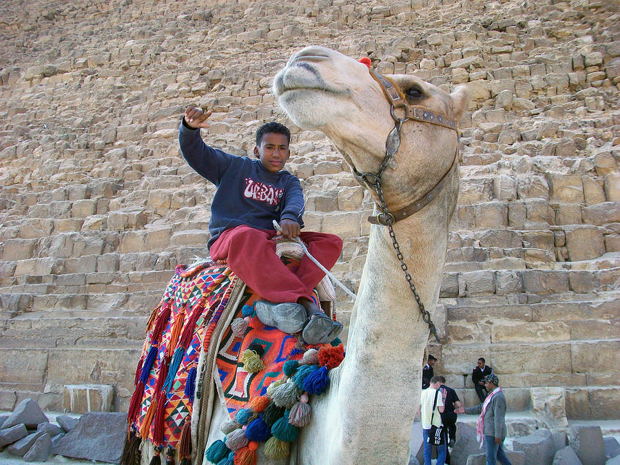Egypt - Boy with a Camel Photograph by Munir Alawi