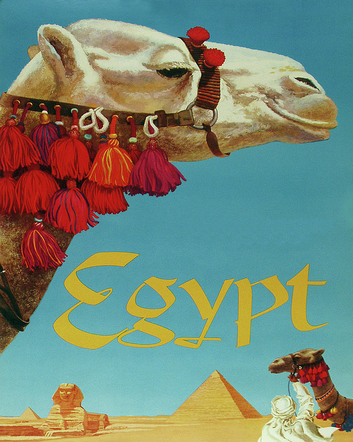 Vintage Painting - Egypt, Camel head over blue sky by Long Shot