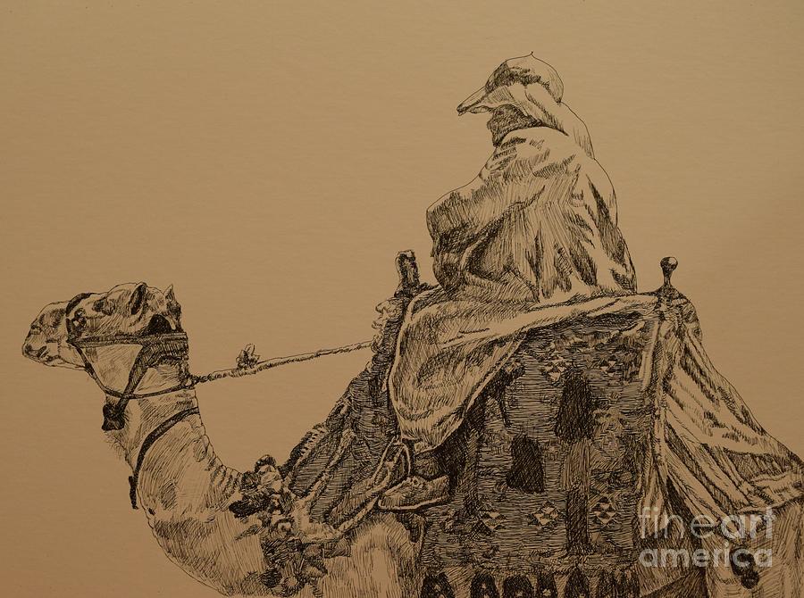 Egypt Camel Drawing by Katerina Yager Fine Art America