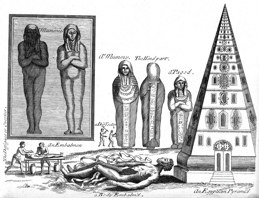 Egyptian Mummification, Engraving, 1694 Photograph by Wellcome Images