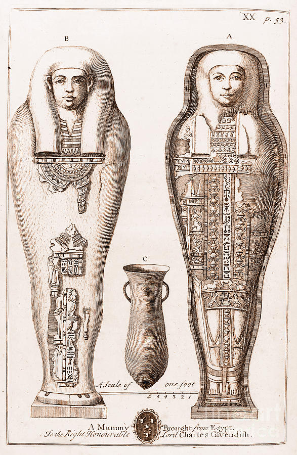 Egyptian Mummy, Illustration Photograph by Wellcome Images