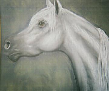 Horse Painting - Egyptian Prince by Diana Cochran Horse Painting - Egyptian Prince by Diana Cochran